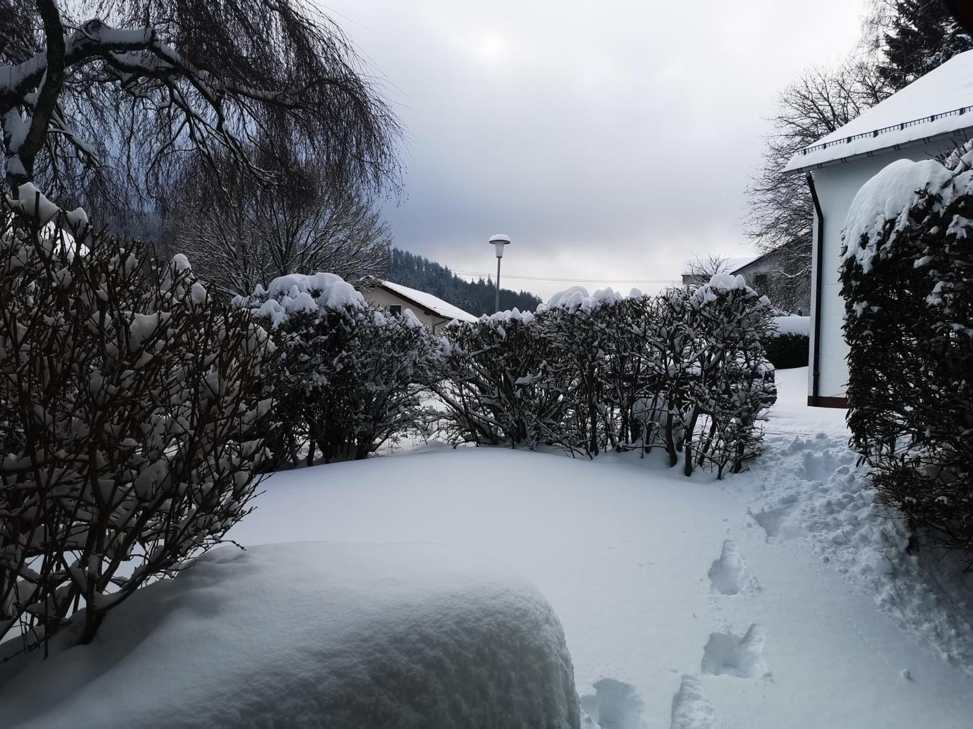 Fewo Kuhlmann Willingen  Exterior photo